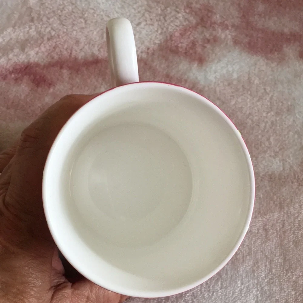 Stechcol Gracie Bone China Ivory Blossoms on Pink Tea Cup NWT 3.25x3.5” - Picture 9 of 16